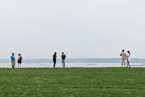 The View from Cypress Pop Up